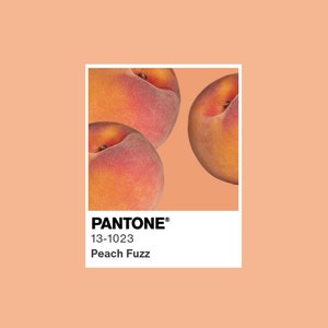 Może przedstawiać: Próbka koloru Pantone z kolorem 13-1023, nazwany "Peach Fuzz". Karta przedstawia trzy brzoskwinie, z których dwie są częściowo widoczne, na jasnopomarańczowym tle.