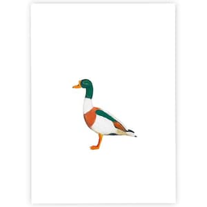 Brandgans | Postkarte | Aquarell