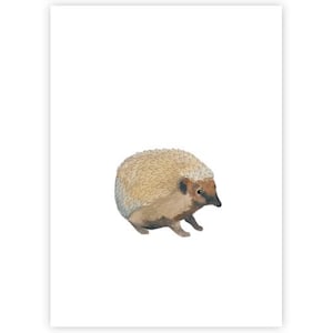 Igel | Postkarte | Aquarell