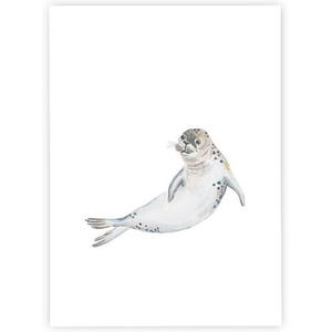 Robbe | Postkarte | Aquarell