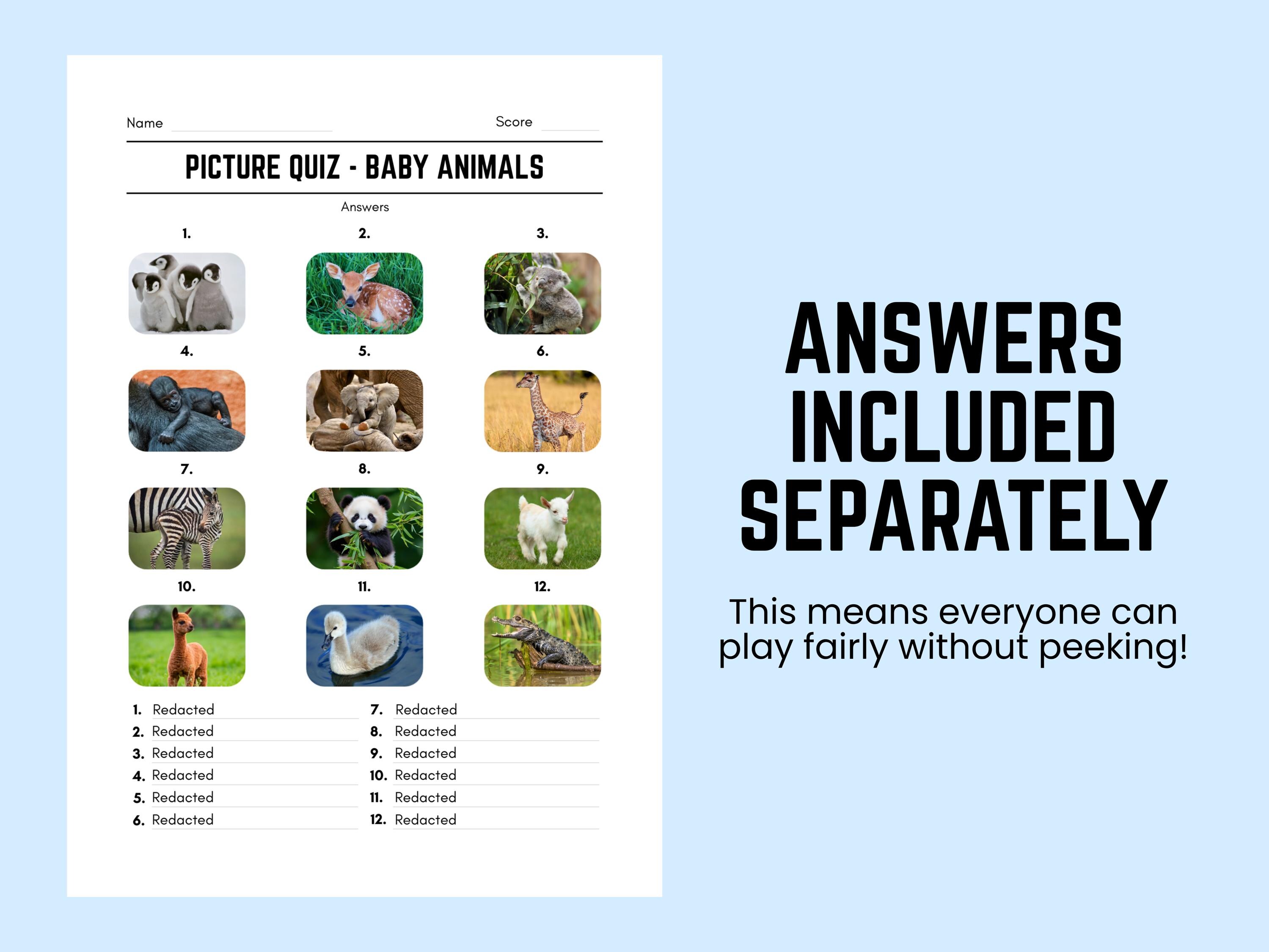 Printable Baby Animals Picture Quiz With Answers: Picture Round Quiz ...