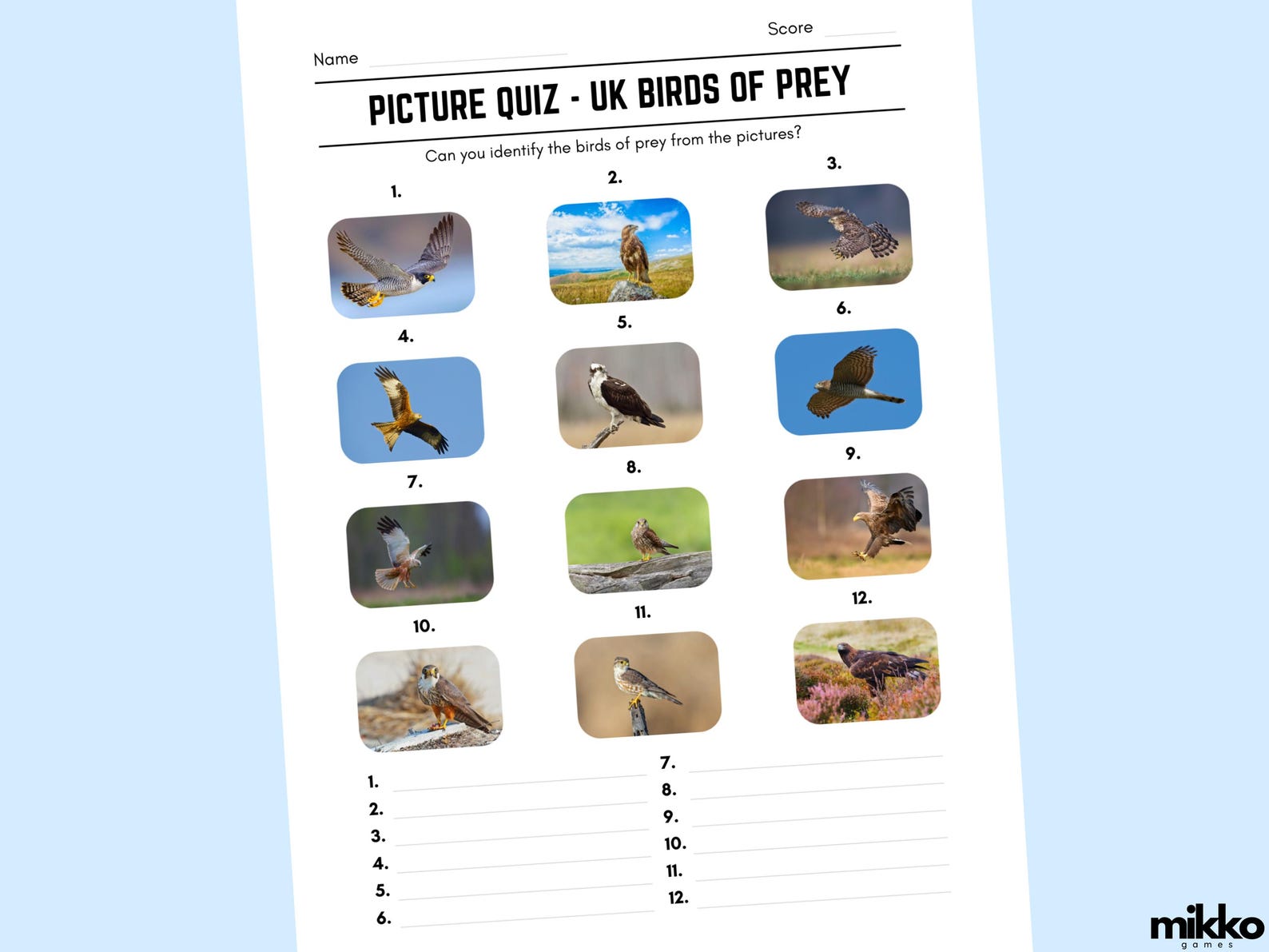 Printable UK Birds of Prey Picture Quiz With Answers: Picture Round ...