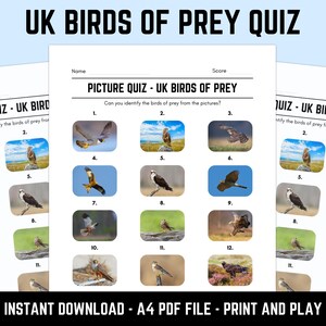 Printable UK Birds of Prey Picture Quiz With Answers: Picture Round ...