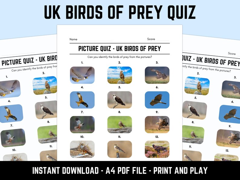 Printable UK Birds of Prey Picture Quiz With Answers: Picture Round ...