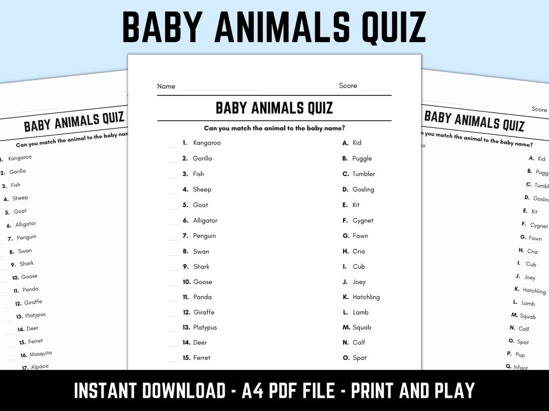 Printable Baby Animals Match up Quiz With Answers Etsy