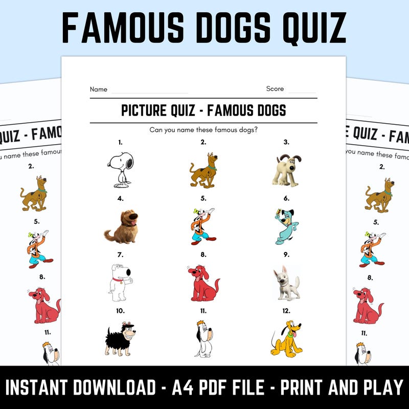 Quizlet Who Should Never Use Jargon Etsy New Zealand