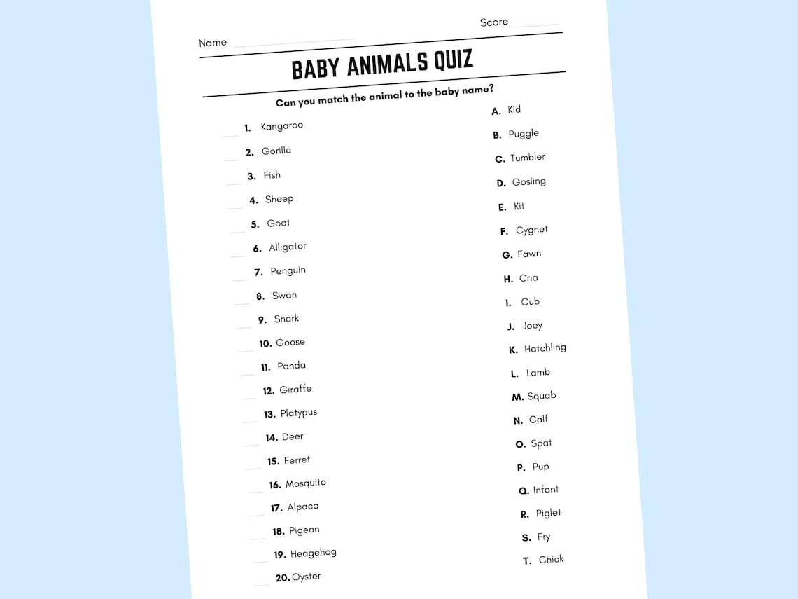 Printable Baby Animals Match up Quiz With Answers Etsy