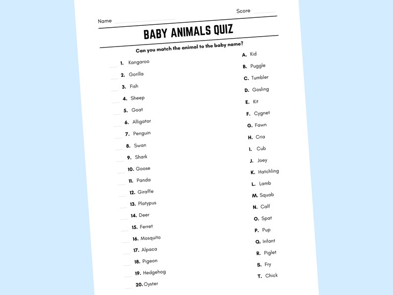 Printable Baby Animals Match up Quiz With Answers Etsy