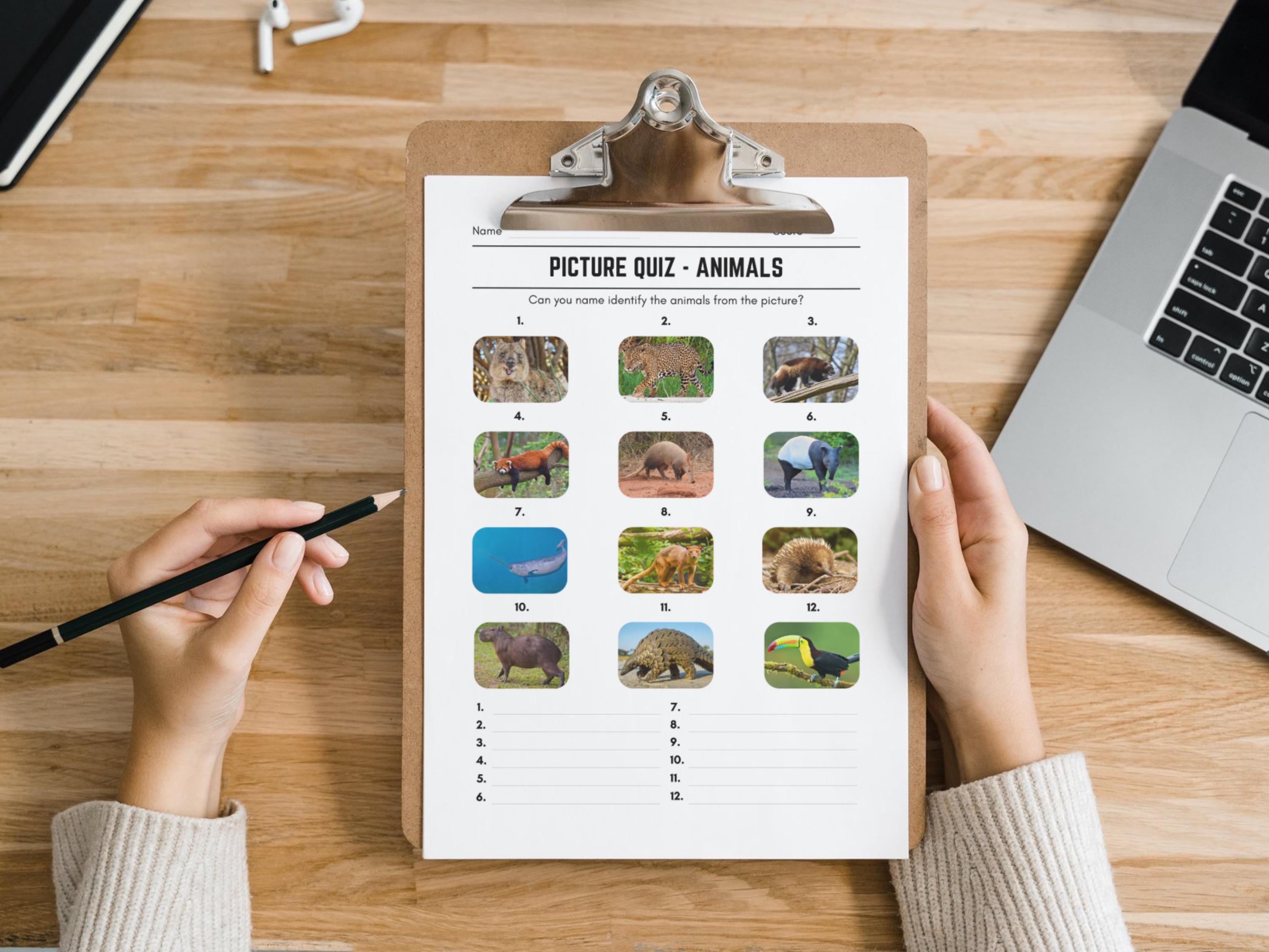 Printable Animals Picture Quiz With Answers: Picture Round Quiz Sheets ...