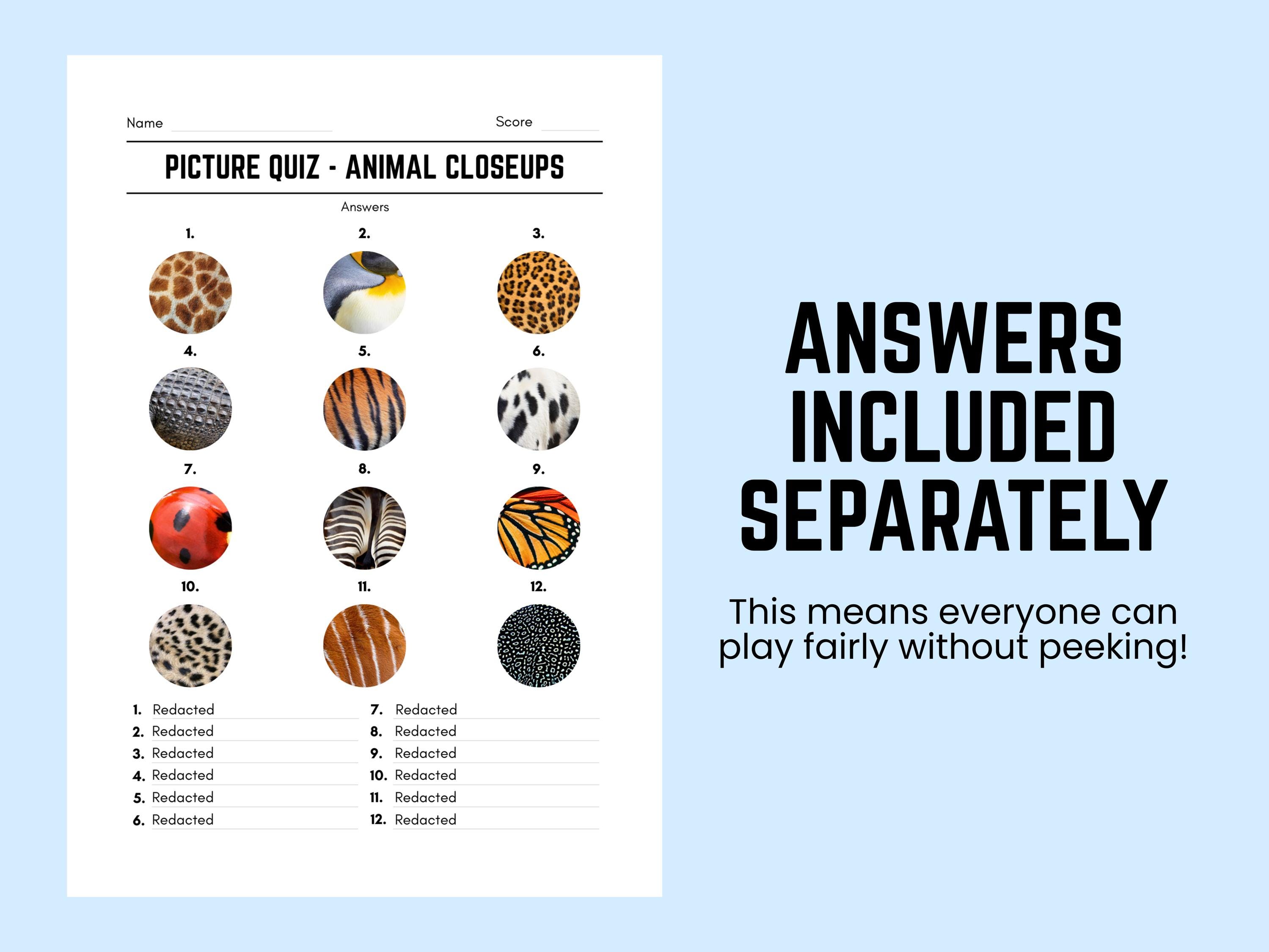 Printable Animal Closeups Picture Quiz With Answers: Picture Round Quiz ...