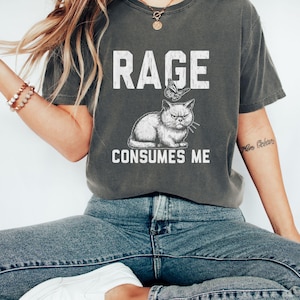 Funny Cat Meme T-Shirt, Rage Consumes Me Cat Shirt, Vintage Unhinged Cat Tee, Silly Cat Graphic Shirt, Weird Humor Unisex Shirt