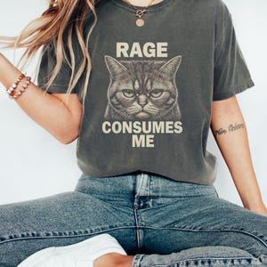 Rage Consumes Me Cat Shirt, Funny Cat Meme T-Shirt, Vintage Unhinged Cat Tee, Silly Cat Graphic Shirt, Weird Humor Unisex Shirt