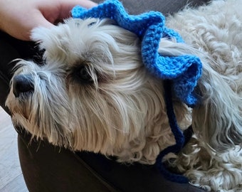 Crochet Hat for Pets