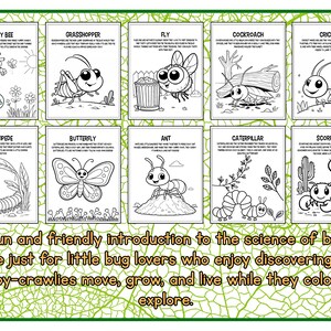 Dibujos para colorear de insectos / + Datos curiosos y laberintos adicionales / Imprimibles imagen 3