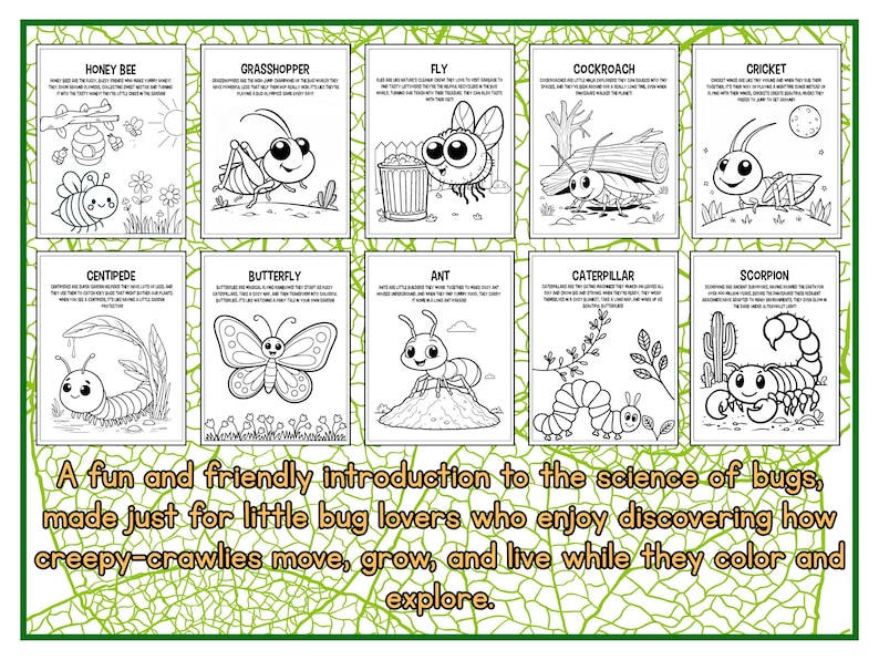Dibujos para colorear de insectos / + Datos curiosos y laberintos adicionales / Imprimibles imagen 3