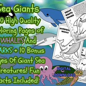 Whales and Sharks Coloring Pages: Sea Giants Fun Facts (Digital Download)