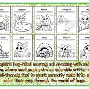 Dibujos para colorear de insectos / + Datos curiosos y laberintos adicionales / Imprimibles imagen 2