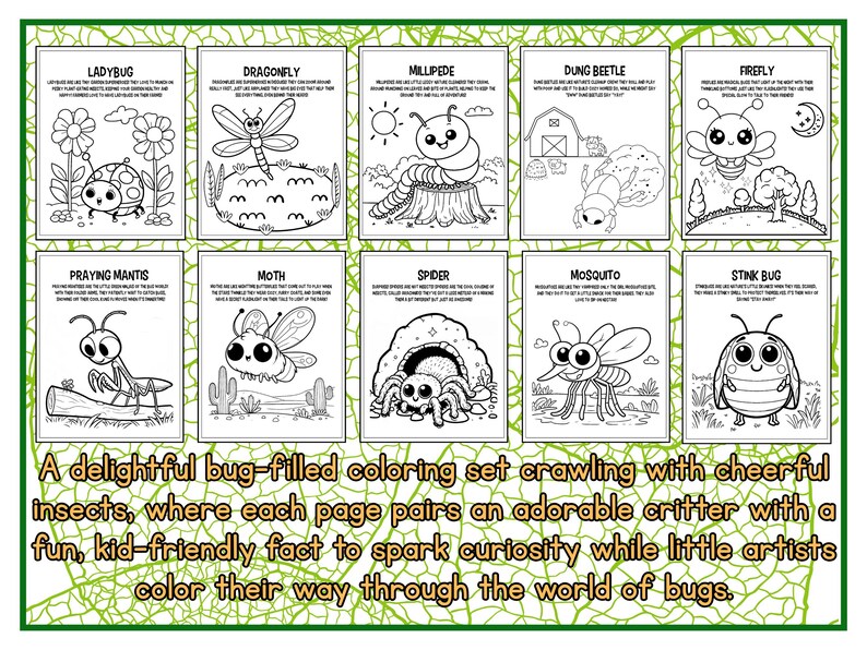 Dibujos para colorear de insectos / + Datos curiosos y laberintos adicionales / Imprimibles imagen 2
