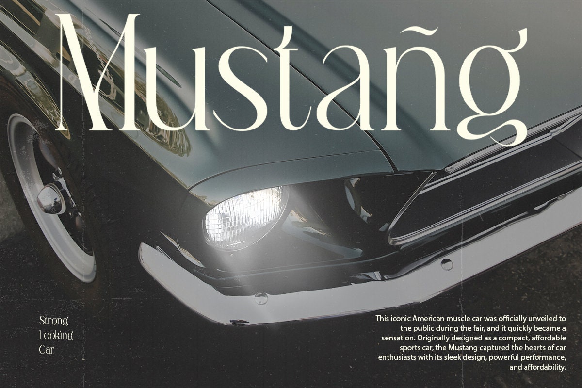 TBJ Movage Unique Ligatures Classy Serif Font Classy Fonts Procreate