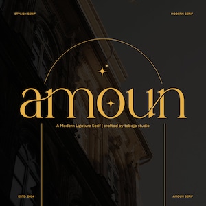 Amoun - Elegante Ligatur Schriftart, Logo Schriftart, Digitale Schrift, Handschriftlich, Feminin, Cricut, Schrift, Hochzeitsschrift, modern, Canva, Procreate, kommerzielle Nutzung