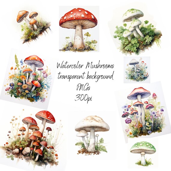 Watercolor Mushrooms Clipart - PNGs, transparent background, 300pi, commercial use