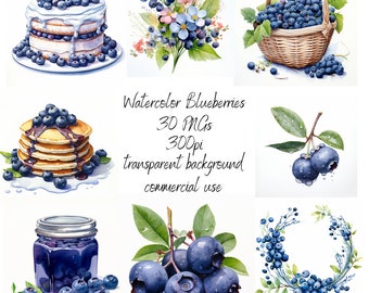 Watercolor Blueberries - 30 PNGs, 300pi, transparent background, commercial use