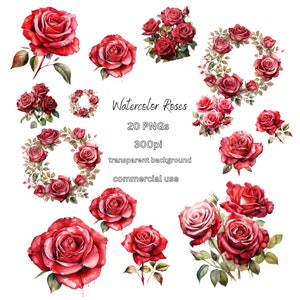 Watercolor red roses clipart - PNG files of red roses for commercial use
