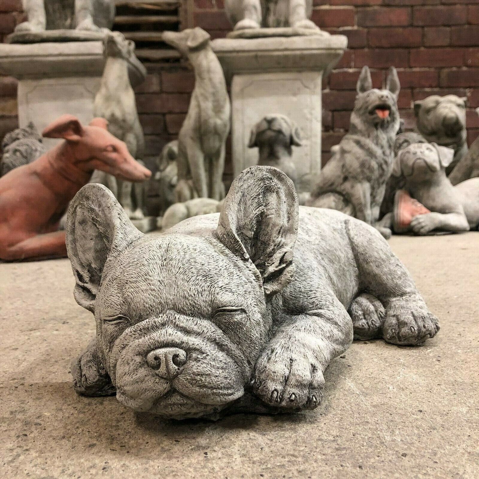 Statua Cane, Bulldog Francese, Inglese, Levriero, In Resina