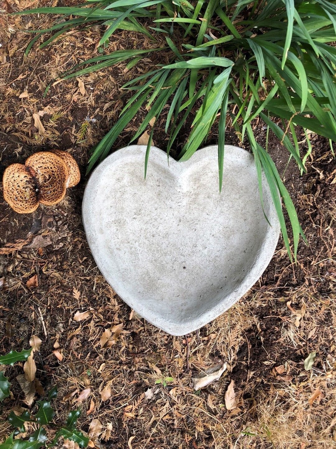 Heart Shaped Bird Bath Concrete Statue Nature Lover Gift Etsy