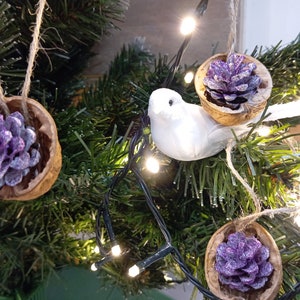Christmas decorations of pine cones in a nut shell Pure Nature set of 6 pcs