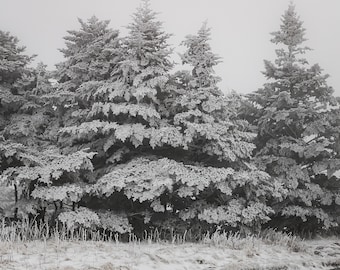 Roan Highlands Winter