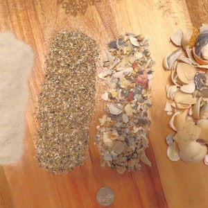 Arena de playa, arena del océano Atlántico y conchas trituradas: piezas naturales finas o gruesas.