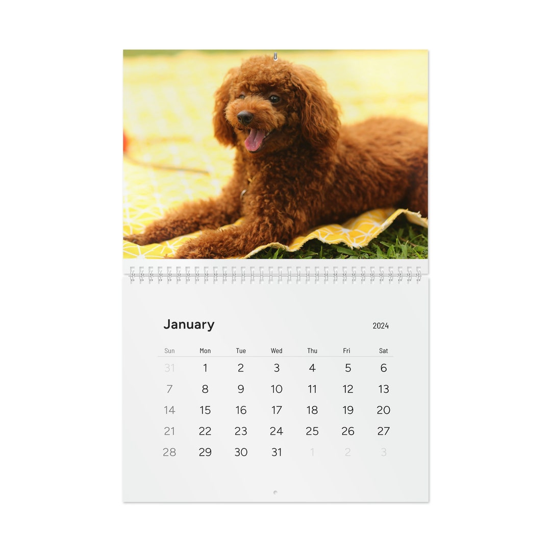 Standard Wall Calendar 2024, Dog Wall Calendar 2024 Wall Calendar Etsy