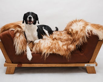 WeirdChairs Elite Oak Pawsidence - Luxurious Handcrafted Dog Bed