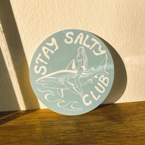 Sticker Set – Thema frei wählbar (Reise • Ozean) | 3er-Set + Gratis Mystery Mini | Bleib salzig Aufkleber | Retro Surfkunst | Hai Sticker