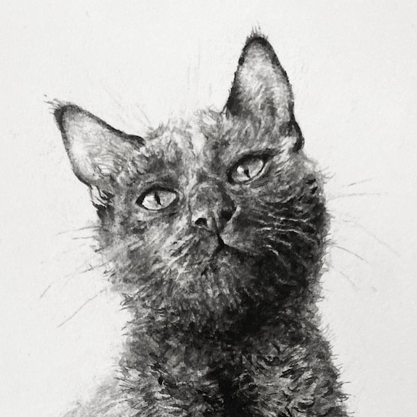 Mini Tierportrait kundenspezifisches Tierportrait Katzenportrait Hundeportrait individuelles Katzenportrait Foto-Zeichnung Familiengeschenk