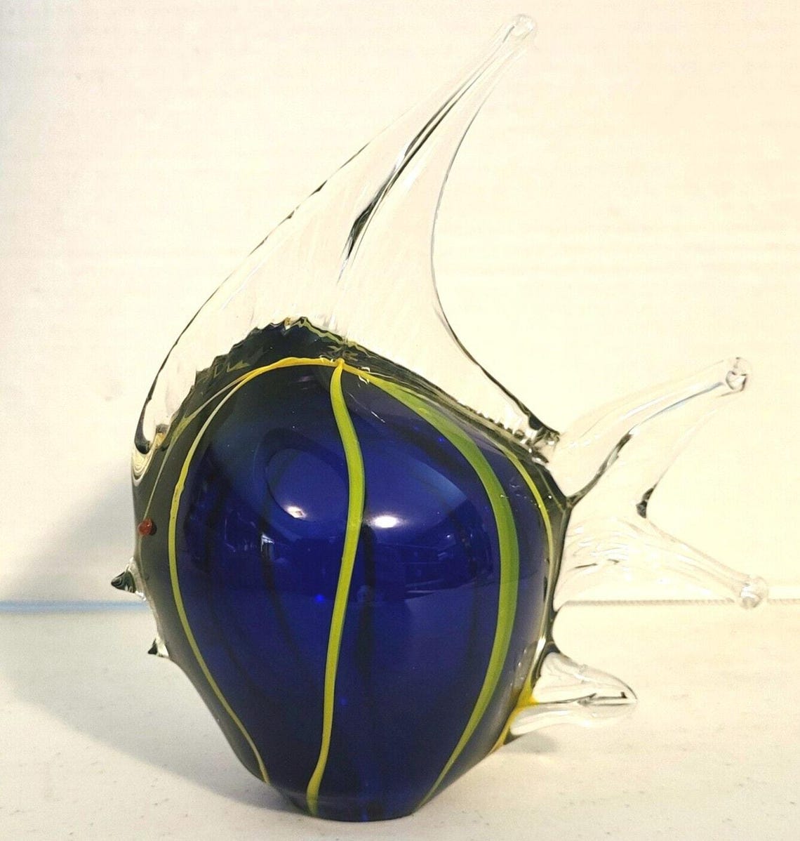 Glass Angelfish