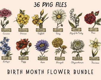 Nouveau ! Fleurs de naissance PNG | Clipart | Mois de naissance png| PNG floral | PNG botanique | Rose PNG | Marguerite PNG| Coquelicot PNG | Anniversaire | Mois