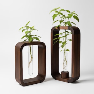 Puede incluir: Dos jarrones de madera con marco rectangular y esquinas redondeadas. Cada jarrón contiene un tubo de vidrio transparente con una planta verde en su interior. Los jarrones son de madera marrón oscuro y están sobre un fondo blanco.