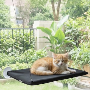 May include: A black cat window perch suspended by two suction cups. An orange and white cat is lying on the perch, looking at the camera. The perch is rectangular and appears to be made of a soft material.