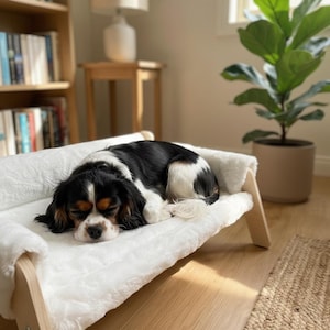 Op de afbeelding: Een Cavalier King Charles Spaniel hond rust op een wit, pluizig dierenbed. De hond heeft zwarte, witte en bruine markeringen. Het bed staat op een licht houten frame. Een boekenplank en een potplant staan op de achtergrond.