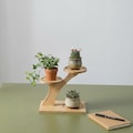 Minimalist 2-Tier Bamboo Tabletop Plant Stand product logo