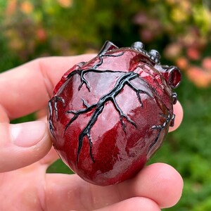May include: A detailed, red anatomical heart sculpture with black veins. The heart is held in a hand, showcasing its textured surface and intricate design. The sculpture is a unique piece of art.