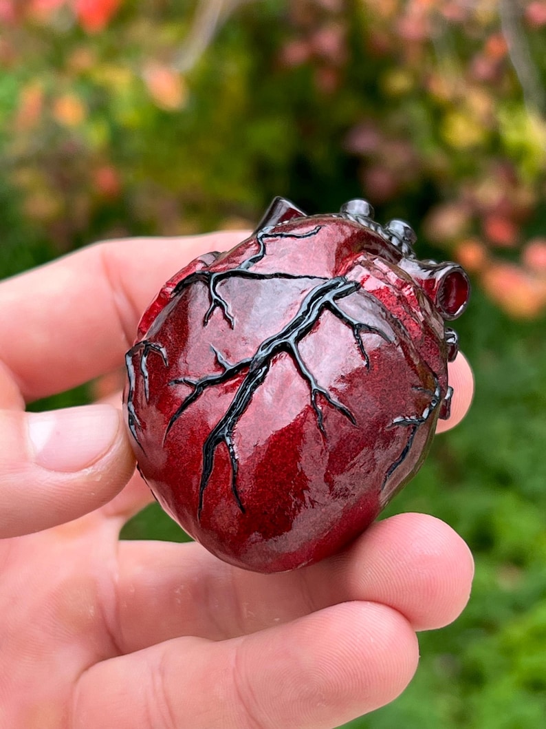 May include: A detailed, red anatomical heart sculpture with black veins. The heart is held in a hand, showcasing its textured surface and intricate design. The sculpture is a unique piece of art.