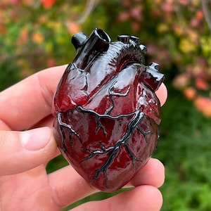 May include: A detailed, anatomical heart sculpture with a glossy, deep red finish and black veins. The heart's chambers and vessels are clearly defined, creating a realistic and artistic representation. The sculpture is held in a hand.