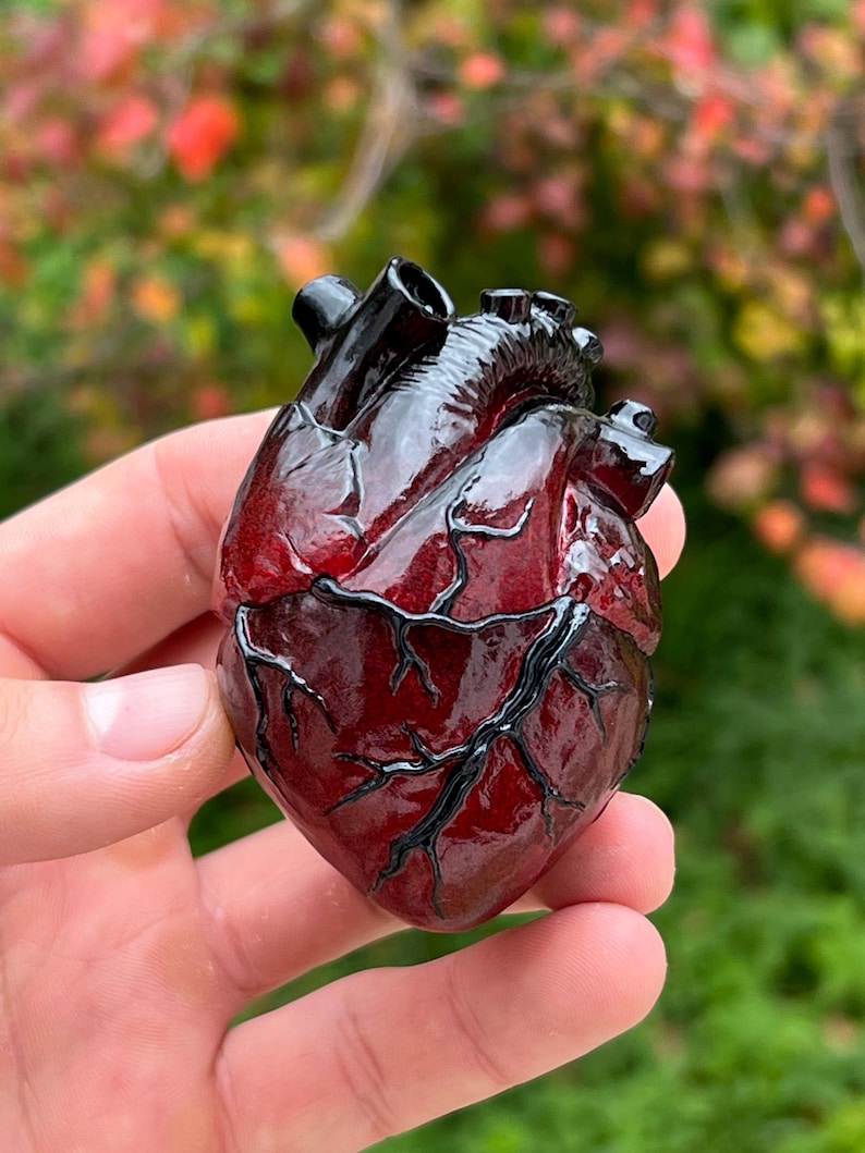 May include: A detailed, anatomical heart sculpture with a glossy, deep red finish and black veins. The heart's chambers and vessels are clearly defined, creating a realistic and artistic representation. The sculpture is held in a hand.