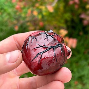 May include: A glossy, dark red heart-shaped sculpture with black vein-like details. The sculpture is held in a hand, with a blurred green and red background.