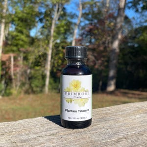 Plantain Tincture