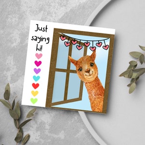 Biglietto di auguri per l'amicizia "Just saying Hi", simpatico biglietto di auguri per l'amicizia con lama, biglietto di auguri per un amico, fornito con busta per il fai da te.
