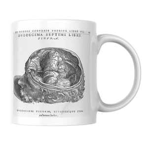 May include: A white ceramic mug featuring a black and white anatomical illustration of a human brain inside an open skull. The text DE HVMANI CORPORIS FABRICA LIBER VII, DVODECIMA SEPTIMI LIBRI, FIGVRA, and DVODECIMAE FIGVRAE, EIVSDEMQVE CHARACTERUM INDEX is printed.